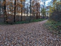 Redange 13.11.2018 024