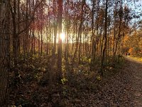 Redange 13.11.2018 026
