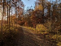 Redange 13.11.2018 027