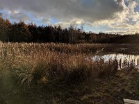Redange 13.11.2018 029