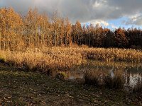 Redange 13.11.2018 030