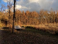 Redange 13.11.2018 032