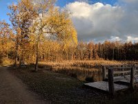 Redange 13.11.2018 034