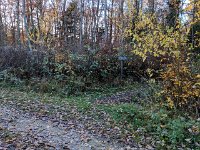 Redange 13.11.2018 042