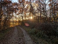 Redange 13.11.2018 043