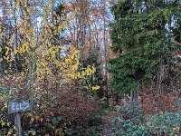 Redange 13.11.2018 044