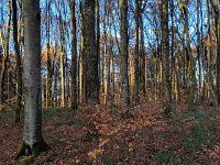 Redange 13.11.2018 045