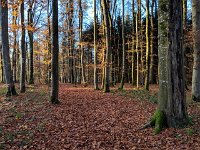 Redange 13.11.2018 046