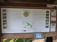 Rindschleiden 8.6.2016 017