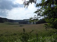 Rindschleiden 8.6.2016 035