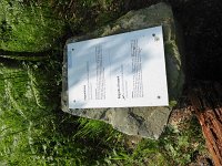 Rindschleiden 8.6.2016 036