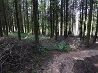 Rindschleiden 8.6.2016 045