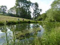 Rindschleiden 8.6.2016 058
