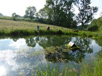 Rindschleiden 8.6.2016 059