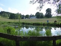 Rindschleiden 8.6.2016 060