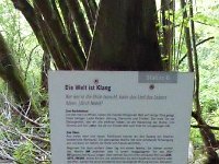 Rindschleiden 8.6.2016 064