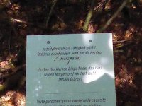 Rindschleiden 8.6.2016 068
