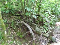 Rindschleiden 8.6.2016 074