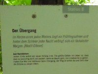 Rindschleiden 8.6.2016 076