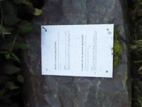 Rindschleiden 8.6.2016 078
