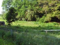 Rindschleiden 8.6.2016 081