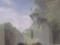 Rindschleiden 8.6.2016 082