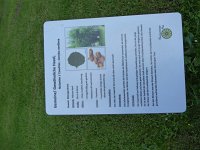 Rindschleiden 8.6.2016 091
