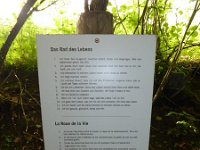 Rindschleiden 8.6.2016 097