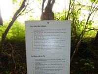 Rindschleiden 8.6.2016 098