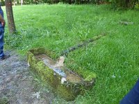 Rindschleiden 8.6.2016 100