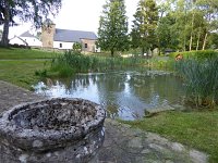 Rindschleiden 8.6.2016 106