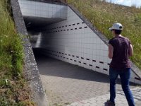 Tour 15.6.2017 004