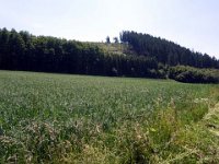 Tour 15.6.2017 154