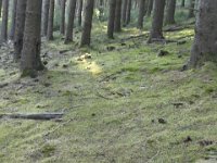 Troisvierges 2.8.2018 237