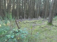 Troisvierges 2.8.2018 238
