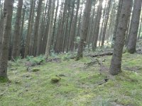 Troisvierges 2.8.2018 239