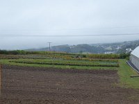 Franziskuswee 1.10.2016 186