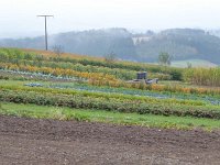 Franziskuswee 1.10.2016 188