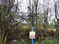 Franziskuswee 1.10.2016 246