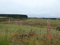 Franziskuswee 1.10.2016 270