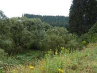 Franziskuswee 1.10.2016 274