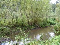 Franziskuswee 1.10.2016 308