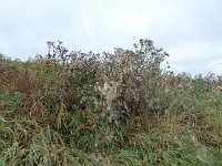 Franziskuswee 1.10.2016 314