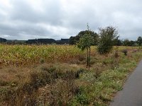 Franziskuswee 1.10.2016 317
