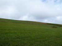 Franziskuswee 1.10.2016 321