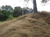 Franziskuswee 1.10.2016 378