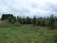 Franziskuswee 1.10.2016 392