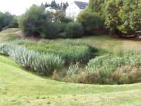 Franziskuswee 1.10.2016 460