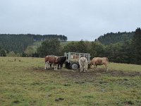 Franziskuswee 1.10.2016 038