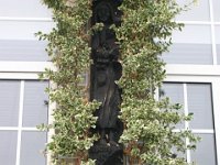 IMG 0379